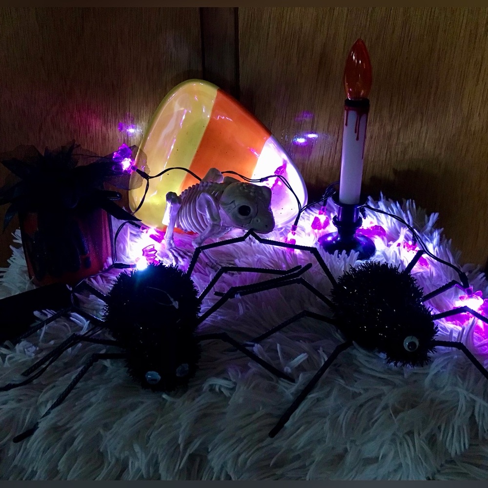 Lot Halloween Decorations Candy Corn Dish Bat Lights Boo Candle Frog Skeleton